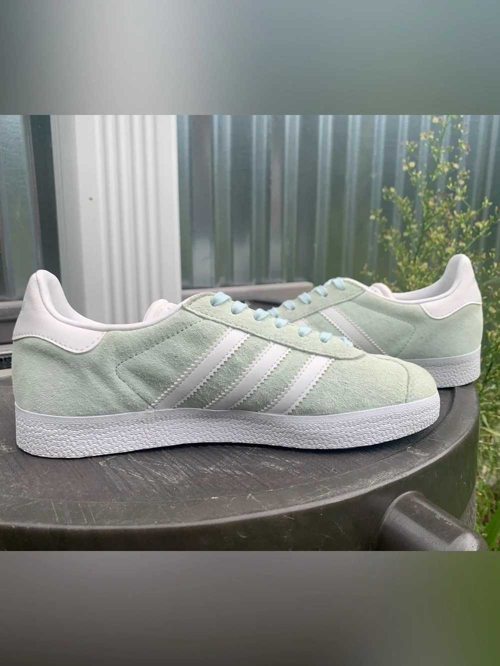 adidas low top